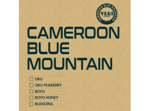블루마운틴 커피_카메룬. 보요허니(200g)
