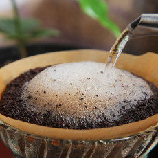 블루마운틴 커피_카메룬. 오쿠(200g)