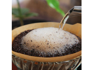 블루마운틴 커피_카메룬. 오쿠(200g)